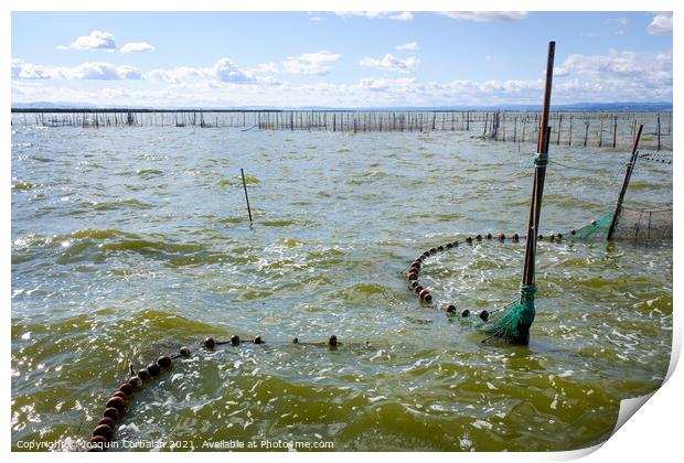 Traditional gear and fishing nets placed in the Valencia lagoon  Print by Joaquin Corbalan