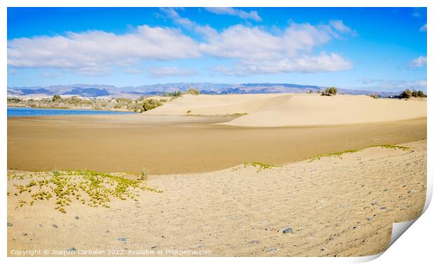Sand dunes on the Canarian beach of Maspalomas. Print by Joaquin Corbalan
