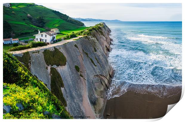 View of the coast and cliffs of Zumaia a nice sunny day. Print by Joaquin Corbalan