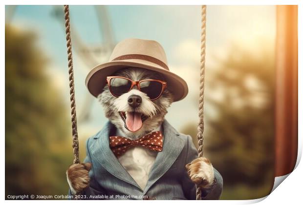 A little dog in clothes and glasses swings funny o Print by Joaquin Corbalan