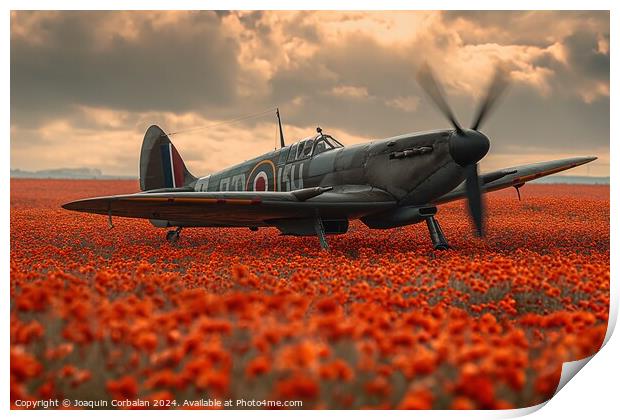 Classic spitfire aircraft, perched in a field of red poppies celebrating the Battle of Britain Memorial Print by Joaquin Corbalan