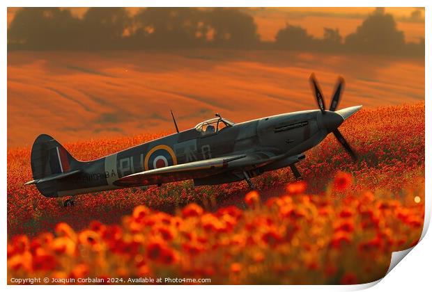 Classic spitfire aircraft, perched in a field of red poppies celebrating the Battle of Britain Memorial Print by Joaquin Corbalan