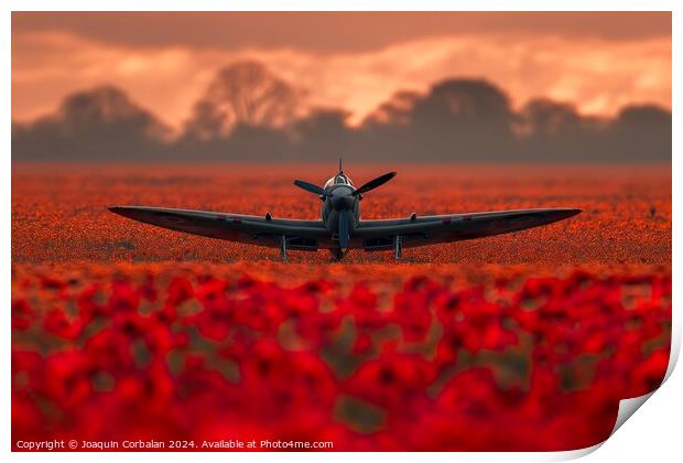 A small airplane sits among a vibrant field of red flowers. Print by Joaquin Corbalan