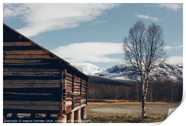 Norwegian landscapes with snow and trees Print by Joaquin Corbalan