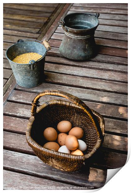 Eggs in wicker basket with corn as food for hens. Print by Joaquin Corbalan
