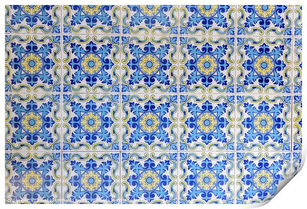 Typical Valencian tiles and slabs used to decorate the walls of the Barracas. Print by Joaquin Corbalan
