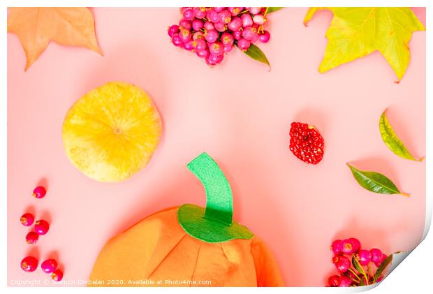 Autumnal background with leaves and berries next to a pumpkin cloth. Print by Joaquin Corbalan