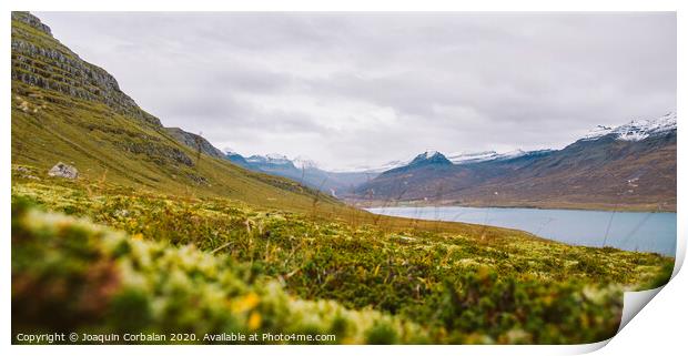 Landscape of green and leafy pastures in the mountainous valleys of Iceland. Print by Joaquin Corbalan