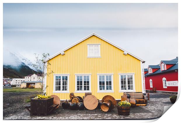 Icelandic landscapes full of green grass, sea and blue sky. Print by Joaquin Corbalan