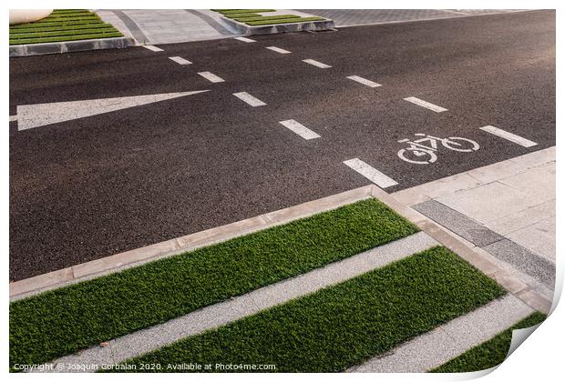 Design of new integrated bike lanes in a pedestrian friendly environment Print by Joaquin Corbalan