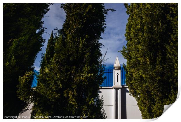 High white concrete walls with metal grating of a cemenery, seen through the cypress trees. Print by Joaquin Corbalan