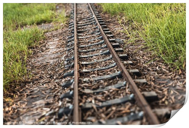 Old miniature train tracks at sunset. Print by Joaquin Corbalan