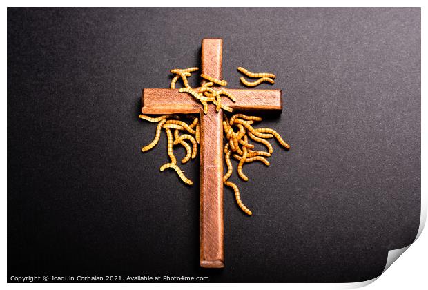 Christian wooden cross attacked by worms that rot the roots of C Print by Joaquin Corbalan