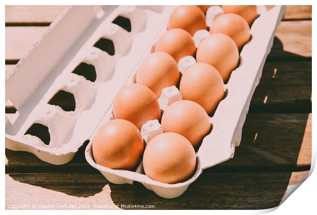 Brown eggs in a cardboard box bought from a local organic superm Print by Joaquin Corbalan
