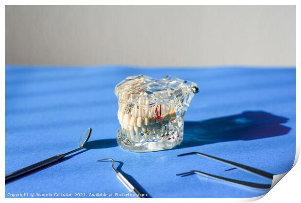 Dental tools for healing dentures, jaw isolated on a dentist doc Print by Joaquin Corbalan