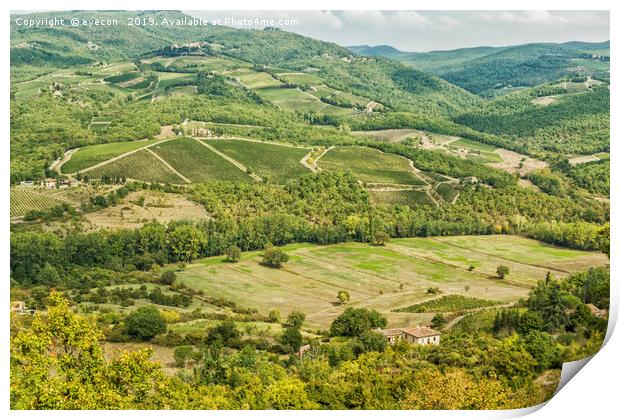 Vineyards landscapes in the morning in Albola Print by eyecon 