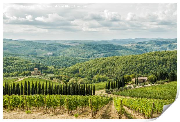 Vineyards landscapes in the morning in Albola. Print by eyecon 