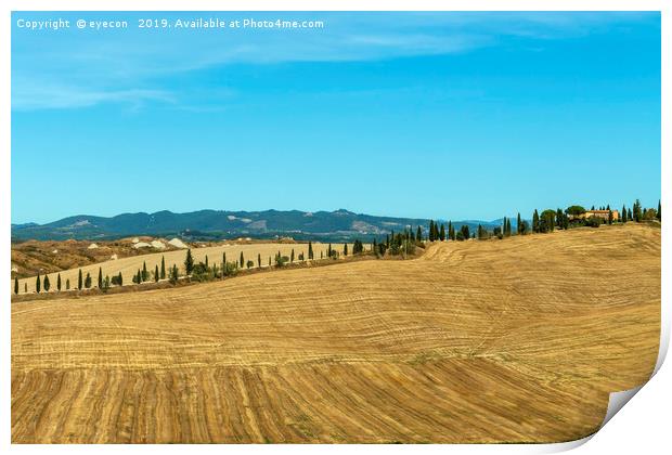 Typical landscapes for Siena Province in Tuscany,  Print by eyecon 