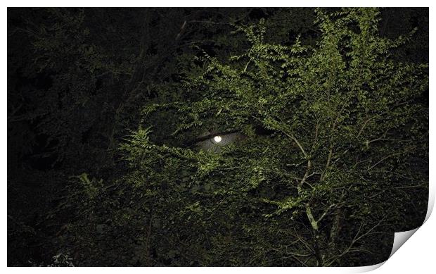 The full moon peaking out Print by Kathleen Wells - Stalla
