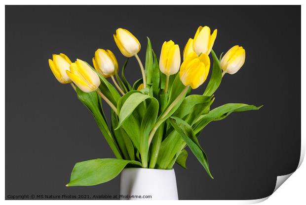 Still life of yellow tulips in a white vase Print by Mike C.S.
