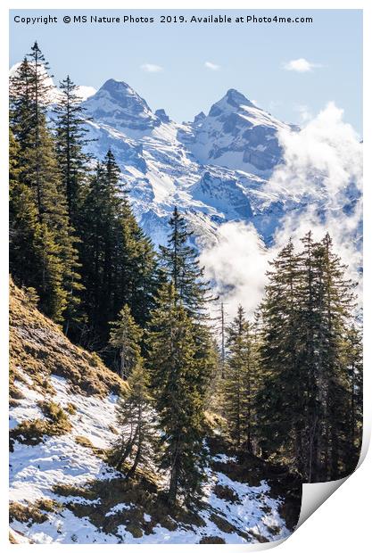 Swiss Alps Print by Mike C.S.