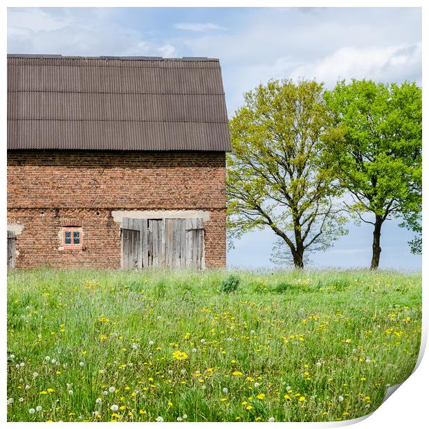 Abandoned Barn In The Countryside  Print by Mike C.S.