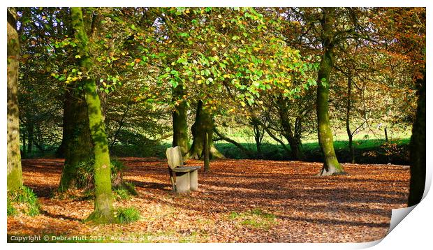 Autumn at Golither woods  Print by Debra Hutt