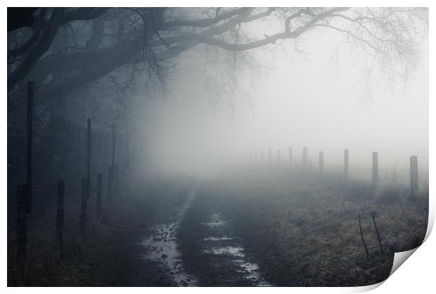 Into the Mist Print by David Wall