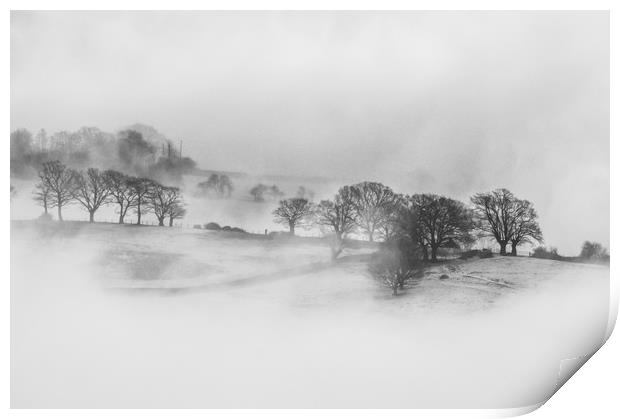 Winter mist Print by David Wall