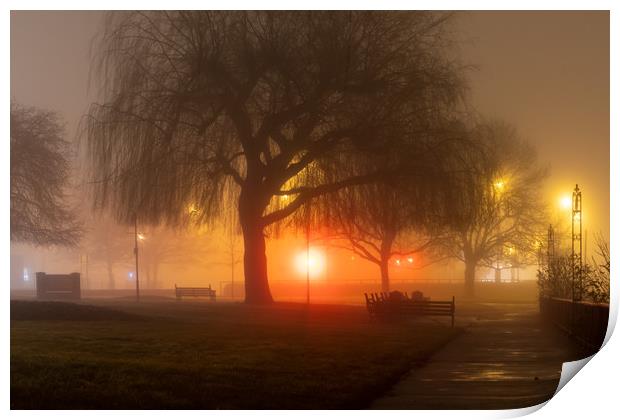 Foggy night Print by David Wall