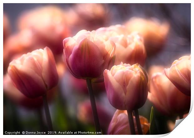 Tulips in spring Print by Donna Joyce