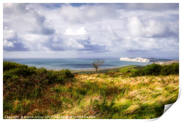 View across the Isle of Wight Print by Donna Joyce