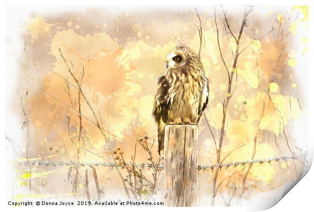 Short Eared Owl Print by Donna Joyce