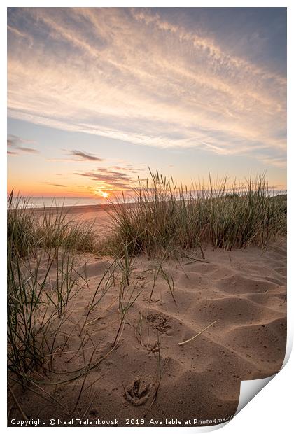Holkham Beach Sand Dune Sunrise Print by Neal Trafankowski