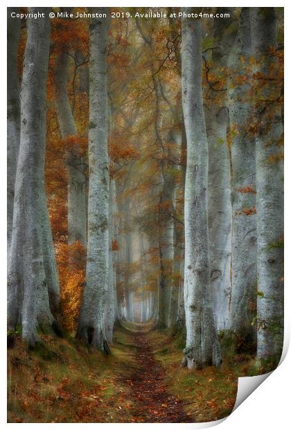 Beech tree lined path on misty autumn morning Print by Mike Johnston