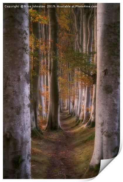 Deeside beech trees at sunset Print by Mike Johnston