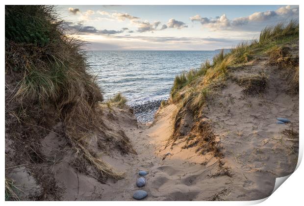 Sea view through the dunes Print by Tony Twyman