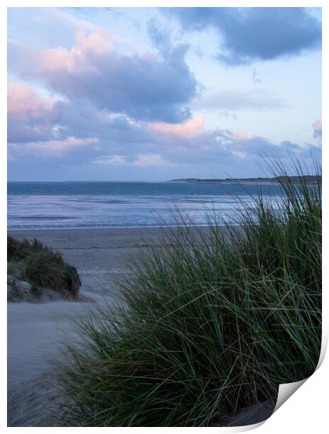 Instow sand dunes at sunrise Print by Tony Twyman