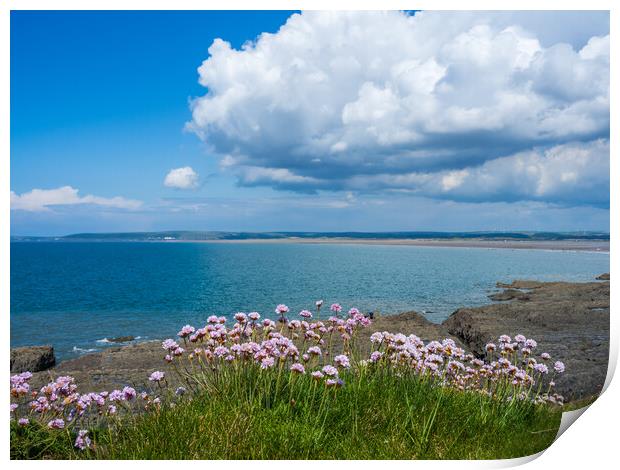 Sea pinks at Westward Ho! Print by Tony Twyman