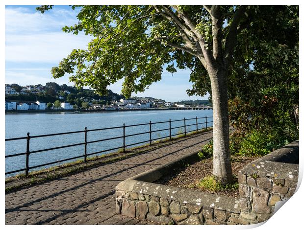 Quayside walk at Bideford Print by Tony Twyman