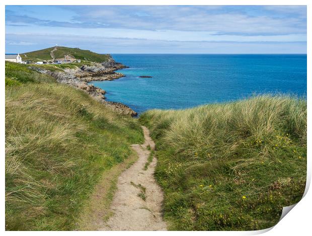 Coast path to Towan Headland Print by Tony Twyman