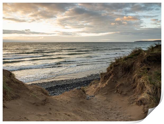 North Devon sand dunes Print by Tony Twyman