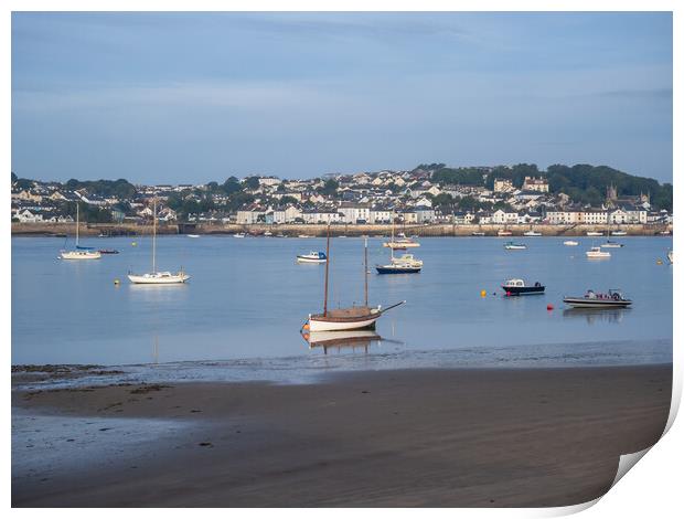 Appledore in North Devon Print by Tony Twyman