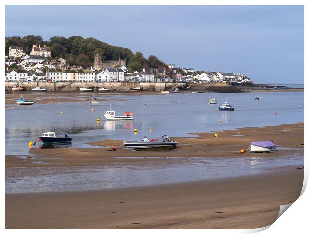 Appledore waterfront in North Devon Print by Tony Twyman