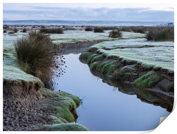 Northam Burrows Nature Reserve Print by Tony Twyman