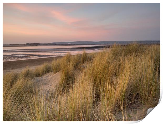 Dune grass on the sandy beach of Instow at Sunset Print by Tony Twyman