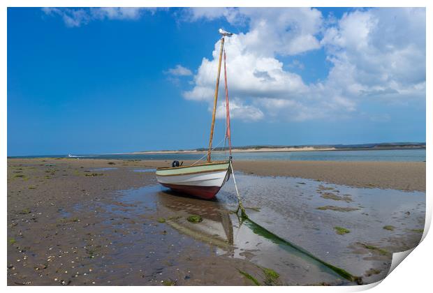 Boat moored on Appledore beach in North Devon Print by Tony Twyman