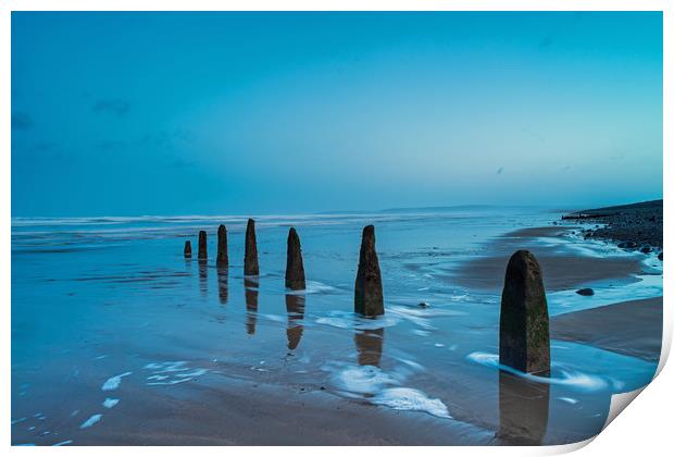 Weathered beach groynes at Dawn Print by Tony Twyman