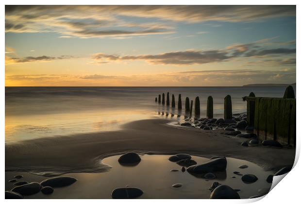 Weathered beach groynes at Westward Ho Print by Tony Twyman