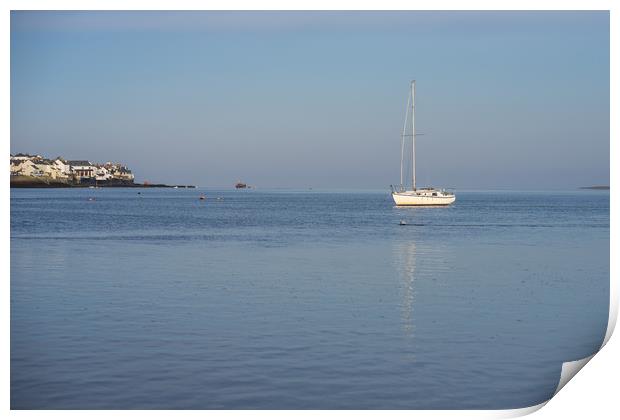 Yacht moored on the Torridge Estuary Print by Tony Twyman